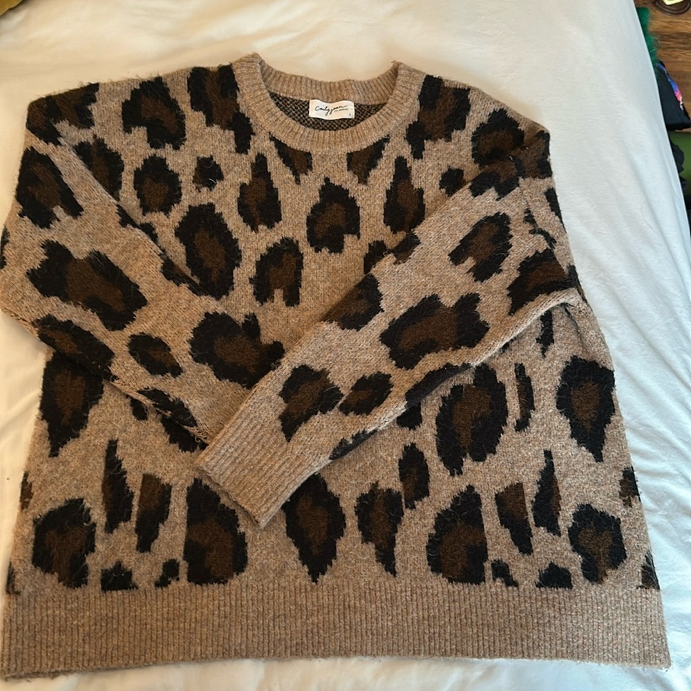 Carly Jean Leopard Print Sweater
